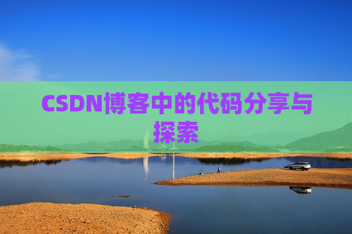 CSDN博客中的代码分享与探索
